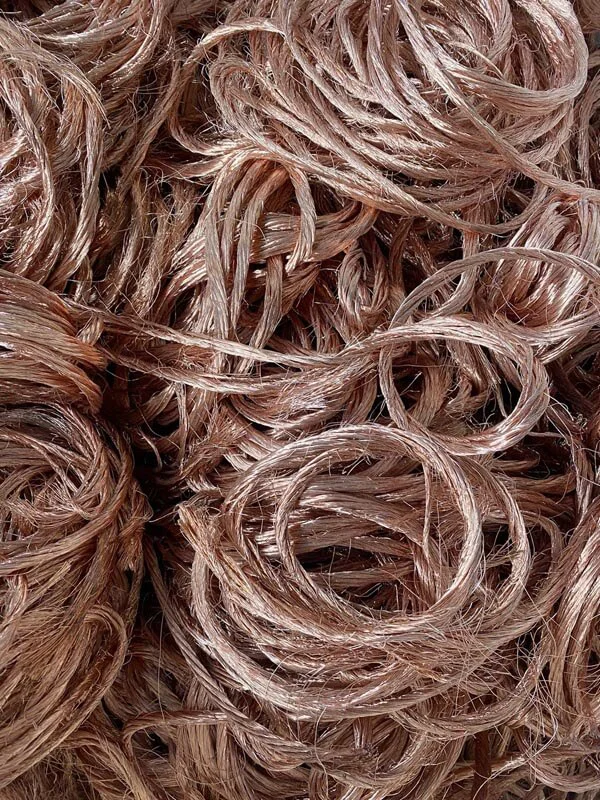 KOLODZIEJCZYK_miedz_swiecaca